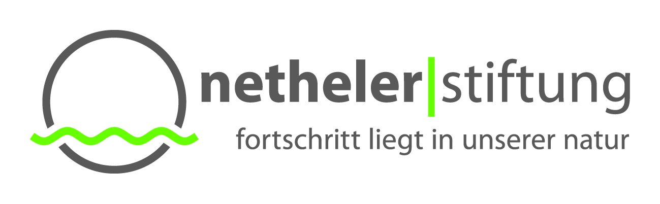Logo: Dr. Heinrich Netheler Stiftung